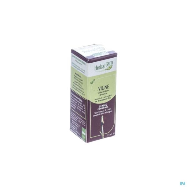 Herbalgem vigne    macerat 15ml