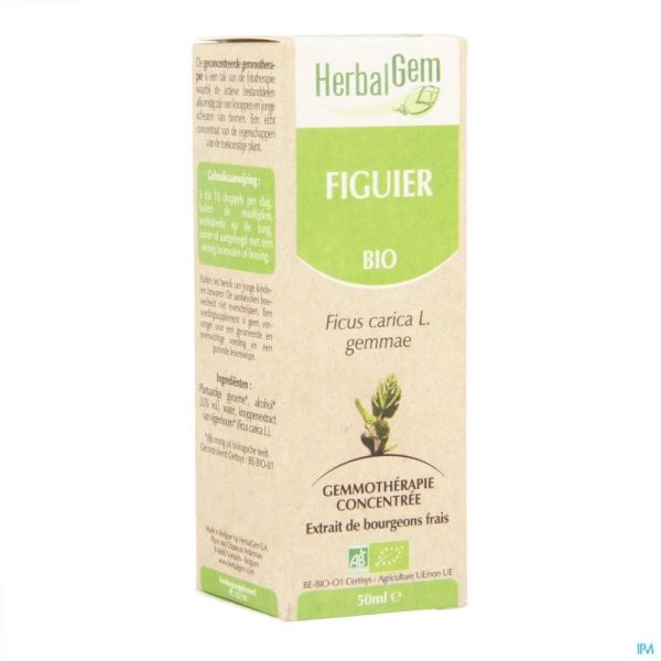 Herbalgem figuier    macerat 50ml