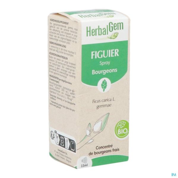 Herbalgem figuier bio spray    15ml